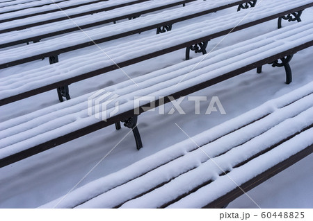 Benches with snow in a city park 60448825