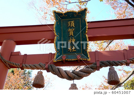 四谷 須賀神社の鳥居 Sugajinjya Suga-shrine ロケ地　東京都 60451007
