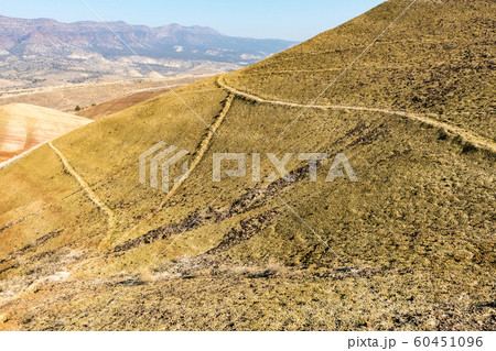 Detail of the arid, wavy and colorful landscape of Painted Hills 60451096