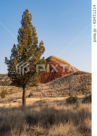 Landscape around Red Hill Trail in Painted Hills 60451214