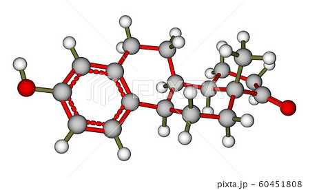 Sex hormone estrone molecule Sex hormone estrone molecule 60451808