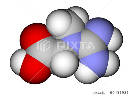 Creatine 3D molecular structureのイラスト素材 [60451981] - PIXTA