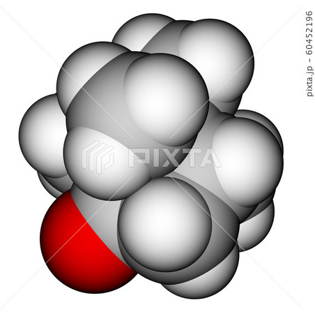 Camphor 3D molecular model Camphor 3D molecular model 60452196