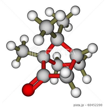 Camphor 3D molecular model Camphor 3D molecular model 60452200