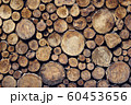 Wooden background, wood cross sections. Natural 60453656