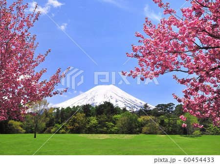 富士パインズパークからの風景-77810 60454433