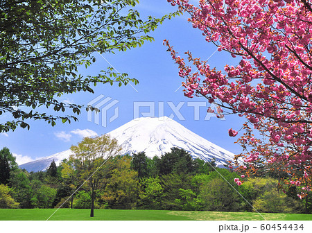 富士パインズパークからの風景-77811 60454434