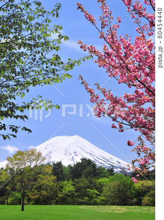 富士パインズパークからの風景-77818 60454440