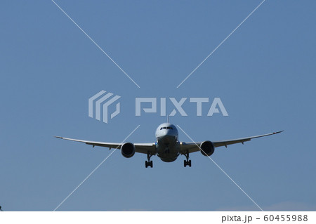 飛行機 飛行機 60455988