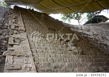 コパン遺跡（ホンジュラス） 60456241