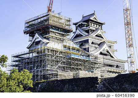 今こそ見に行く価値がある熊本城 （2019年11月16日撮影） 60456390