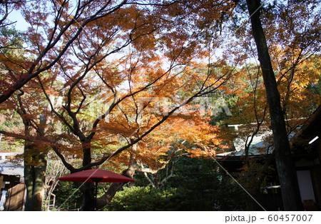 鎌倉宮   Kamakuragu shrine 60457007