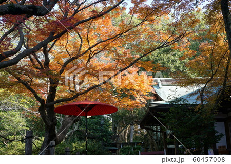 鎌倉宮   Kamakuragu shrine 60457008