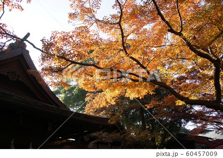 鎌倉宮   Kamakuragu shrine 60457009