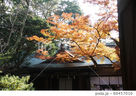 鎌倉宮   Kamakuragu shrine 60457010