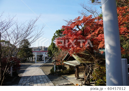 鎌倉宮   Kamakuragu shrine 60457012