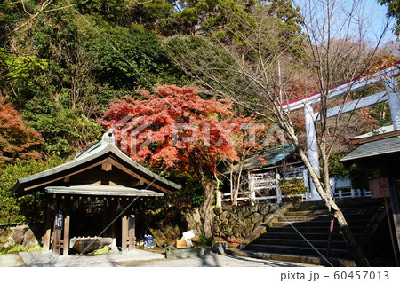 鎌倉宮   Kamakuragu shrine 60457013