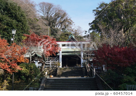 鎌倉宮   Kamakuragu shrine 60457014