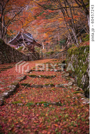 滋賀県 百済寺 紅葉の写真素材