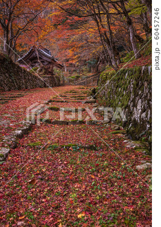 滋賀県 百済寺 紅葉 60457246