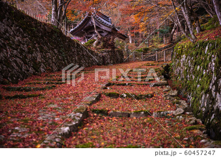 滋賀県 百済寺 紅葉 60457247