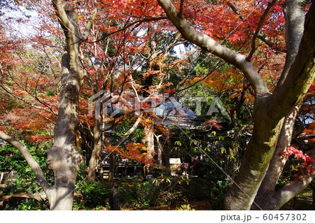 覚園寺  Kakuonji temple 60457302