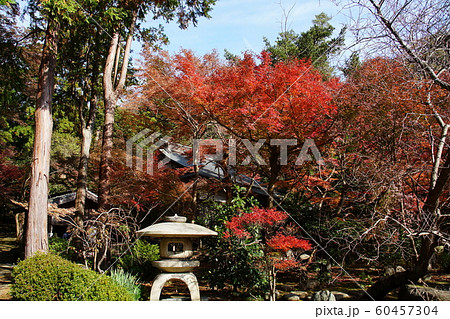 覚園寺  Kakuonji temple 60457304