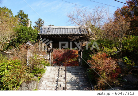 覚園寺  Kakuonji temple 60457312
