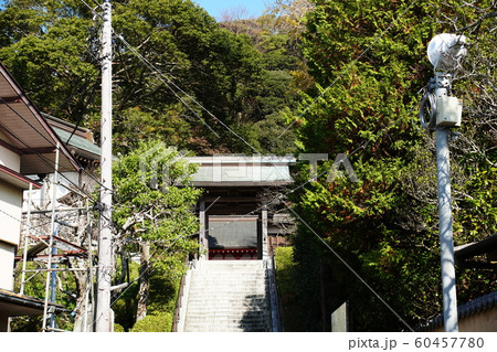 荏柄天神社   Egaratenjinsya shrine 60457780