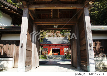 荏柄天神社   Egaratenjinsya shrine 60457781