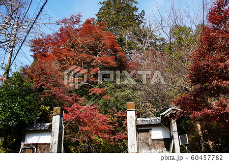 覚園寺   Kakuonji temple 60457782