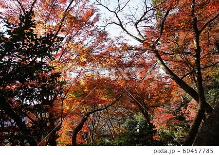 覚園寺   Kakuonji temple 60457785
