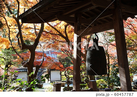 覚園寺   Kakuonji temple 60457787