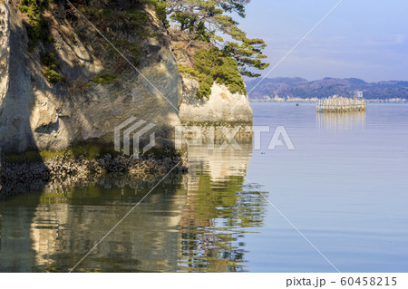 宮城　松島湾浦戸諸島の野々島 60458215