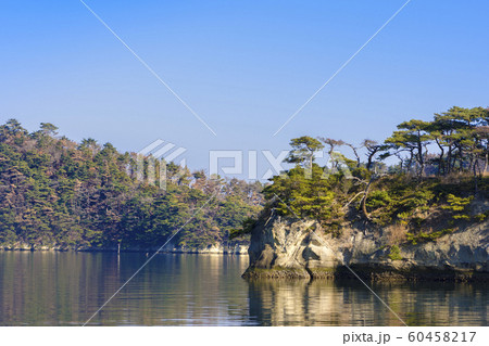 宮城　松島湾浦戸諸島の野々島 60458217