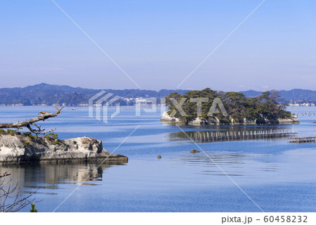 宮城 松島湾浦戸諸島の野々島 宮城 松島湾浦戸諸島の野々島 60458232