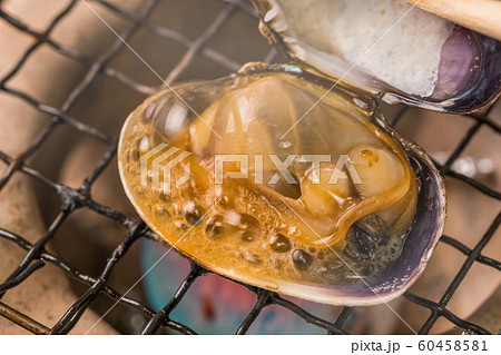 北海道産 本あさり fresh clams from Japan and Hokkaido 60458581