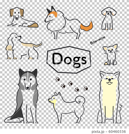犬　ポーズ　表情　セット 60460336