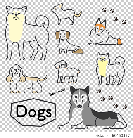 犬 ポーズ 表情 セット 犬 ポーズ 表情 セット 60460337