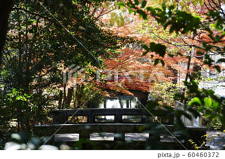 鶴岡八幡宮   Tsurugaokahachimangu shrine 60460372