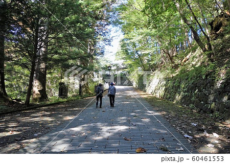 日光東照宮　参道 60461553