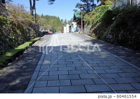 日光東照宮　参道 60461554