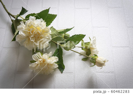 木香薔薇の造花 木香薔薇の造花 60462283