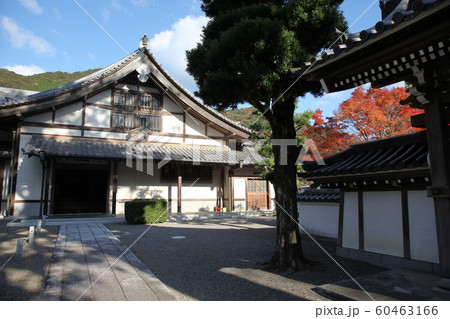 興国寺 60463166
