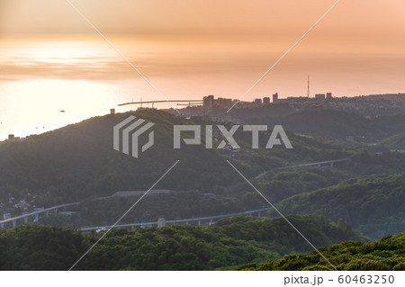 Green valley with the city Sochi in the sunshine. 60463250