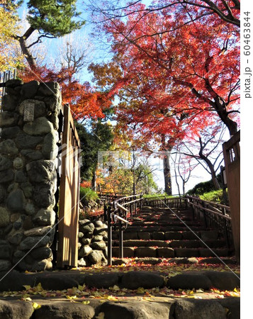 東京都大田区蘇峰公園 入り口 東京都大田区蘇峰公園 入り口 60463844