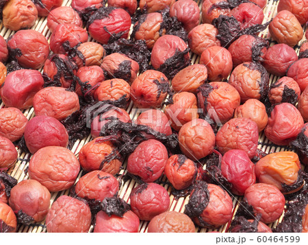 南高梅　梅干し　赤じそ　塩漬け　天日干し 60464599