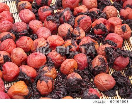 南高梅 梅干し 赤じそ 塩漬け 天日干し 南高梅 梅干し 赤じそ 塩漬け 天日干し 60464603