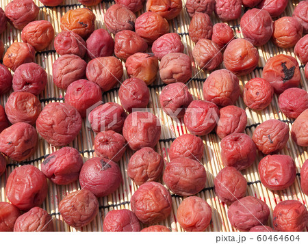 南高梅 梅干し 赤じそ 塩漬け 天日干し 南高梅 梅干し 赤じそ 塩漬け 天日干し 60464604