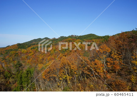 三陸の秋田野畑村 三陸の秋田野畑村 60465411